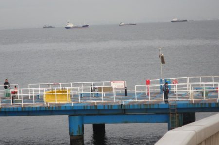 オリジナルメーカー海づり公園(市原市海づり施設) 釣果