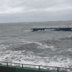 オリジナルメーカー海づり公園(市原市海づり施設) 釣果