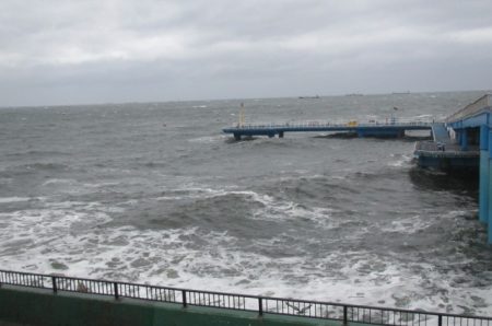 オリジナルメーカー海づり公園(市原市海づり施設) 釣果