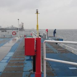 オリジナルメーカー海づり公園(市原市海づり施設) 釣果