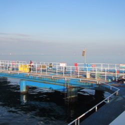 オリジナルメーカー海づり公園(市原市海づり施設) 釣果