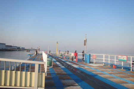 オリジナルメーカー海づり公園(市原市海づり施設) 釣果