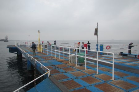 オリジナルメーカー海づり公園(市原市海づり施設) 釣果