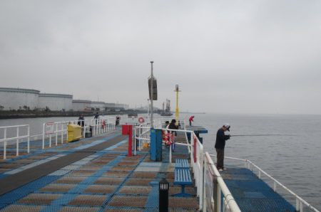 オリジナルメーカー海づり公園(市原市海づり施設) 釣果