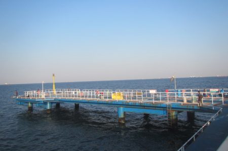 オリジナルメーカー海づり公園(市原市海づり施設) 釣果