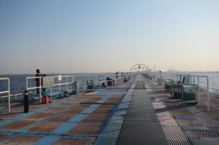 オリジナルメーカー海づり公園(市原市海づり施設) 釣果