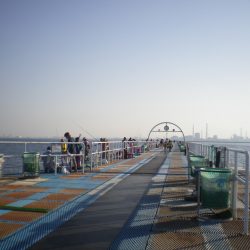 オリジナルメーカー海づり公園(市原市海づり施設) 釣果