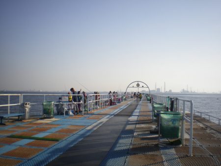 オリジナルメーカー海づり公園(市原市海づり施設) 釣果