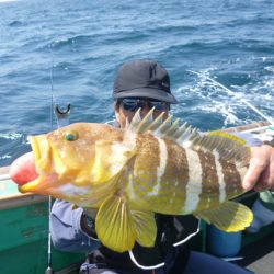 真祐丸 （しんゆうまる） 釣果