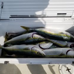 遊漁船　ニライカナイ 釣果