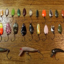 小菅トラウトガーデン 釣果