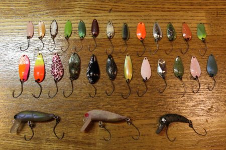 小菅トラウトガーデン 釣果