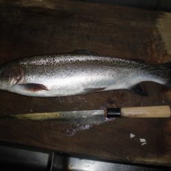 高萩ふれあいの里フィッシングエリア 釣果