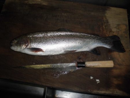 高萩ふれあいの里フィッシングエリア 釣果