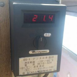 第五慶門丸 釣果