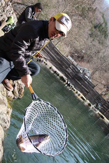 小菅トラウトガーデン 釣果