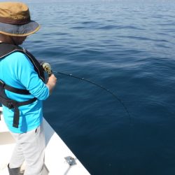 BlueNote Fishing Taxi 釣果