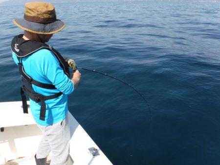 BlueNote Fishing Taxi 釣果