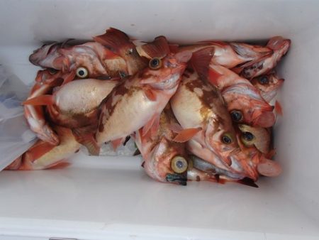 第二むつ漁丸 釣果