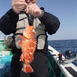 第二むつ漁丸 釣果