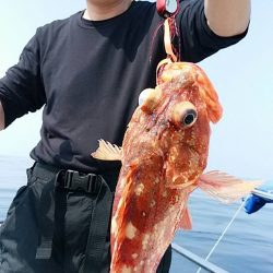宝昌丸 釣果