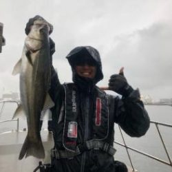 シーマジカル 釣果