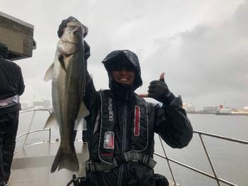 シーマジカル 釣果