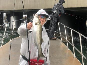 シーマジカル 釣果