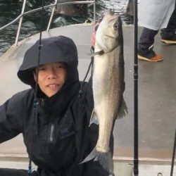 シーマジカル 釣果