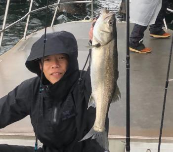 シーマジカル 釣果