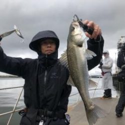 シーマジカル 釣果