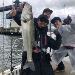 シーマジカル 釣果