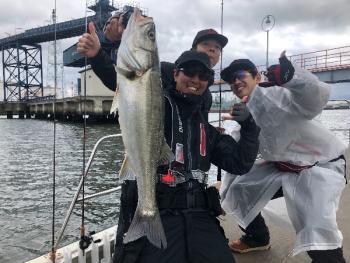 シーマジカル 釣果
