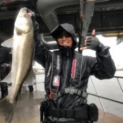 シーマジカル 釣果