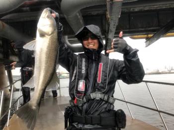 シーマジカル 釣果