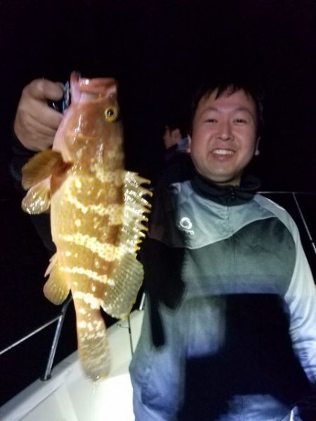 Magic（マジック） 釣果