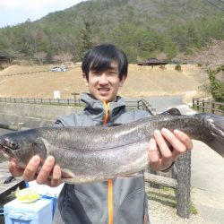 フィッシングレイクたかみや 釣果