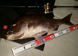 ディープ オーシャン 釣果