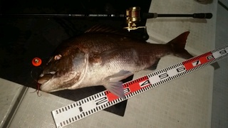 ディープ オーシャン 釣果