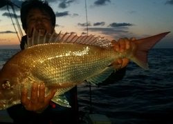 ディープ オーシャン 釣果