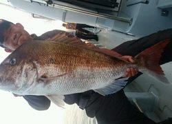 ディープ オーシャン 釣果