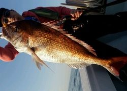 ディープ オーシャン 釣果