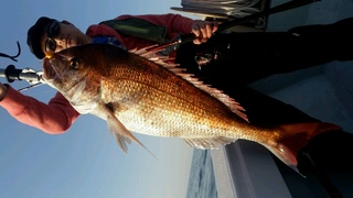 ディープ オーシャン 釣果