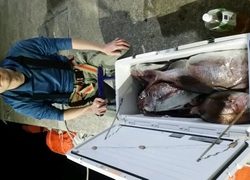 ディープ オーシャン 釣果