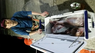 ディープ オーシャン 釣果