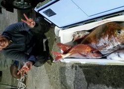 ディープ オーシャン 釣果