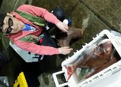 ディープ オーシャン 釣果