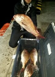 ディープ オーシャン 釣果