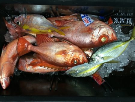 フィッシングハウス伊藤 釣果