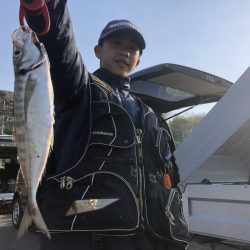 由良渡船 釣果